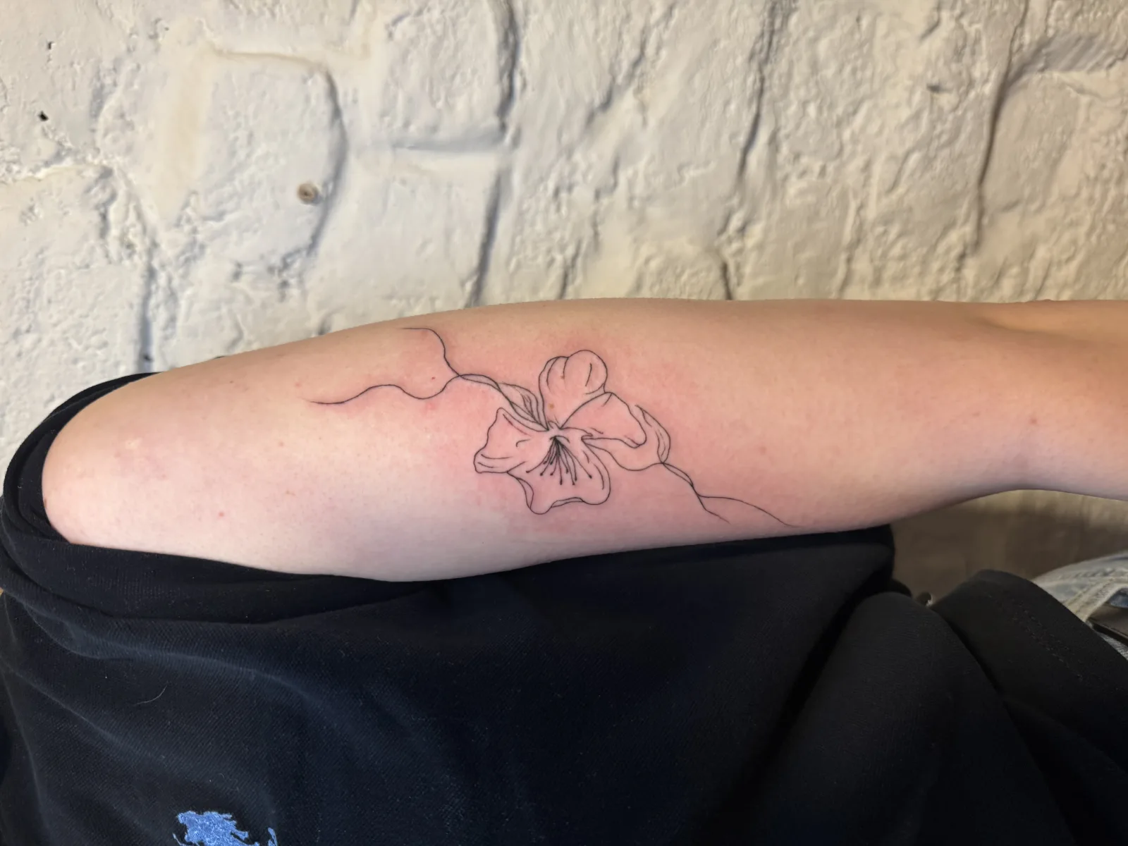 Tatuaje Fine Line en Estambul — Chill Ink Galata